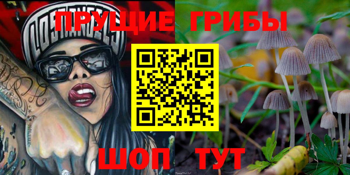 Галлюциногенные грибы MAGIC MUSHROOMS  Вход с VPN  Кызыл 