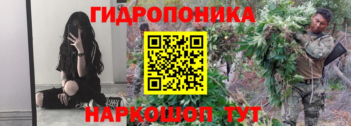 Кызыл  Марихуана конопля  Вход с VPN  Шишки марихуана конопля 